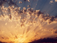 Landscape Gallery
