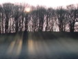 Landscape Gallery