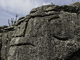 ROCK FACE