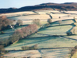 Reflected Hillside