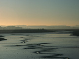 Estuary