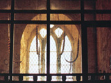 Church Window