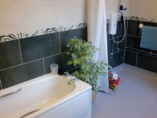 Specialist Disabled Bathroom