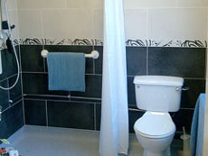 Specialist Disabled Shower